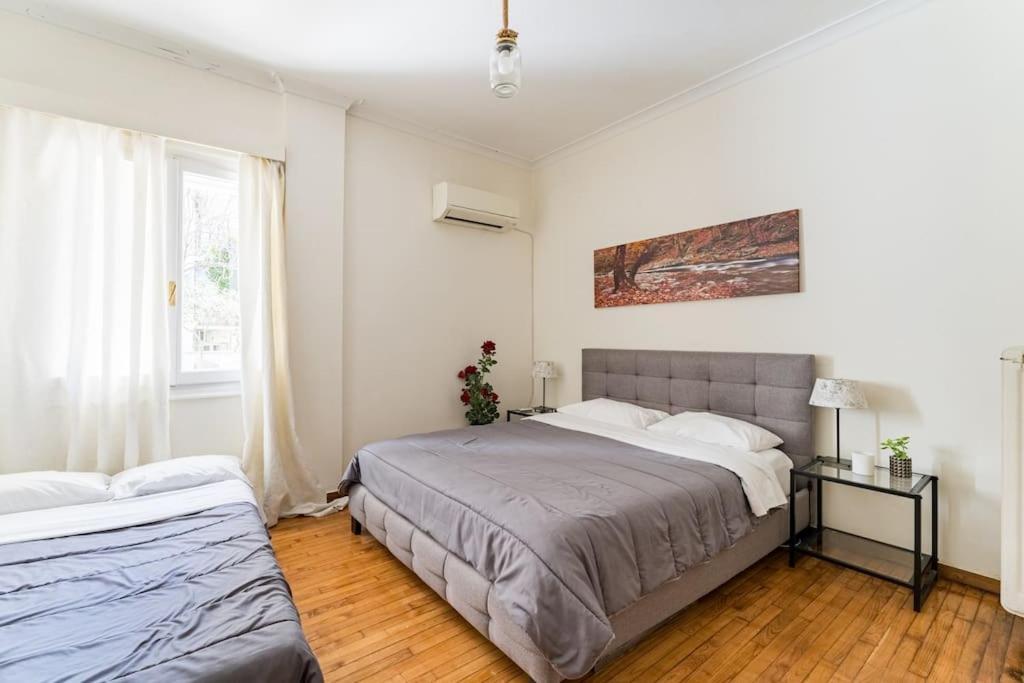 Amazing 3Bdr Apt With Unique Roof Garden In Plaka Atenas Exterior foto