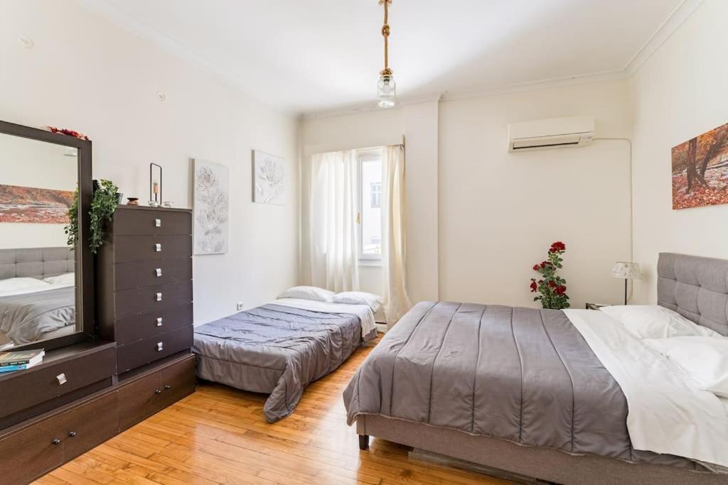 Amazing 3Bdr Apt With Unique Roof Garden In Plaka Atenas Exterior foto